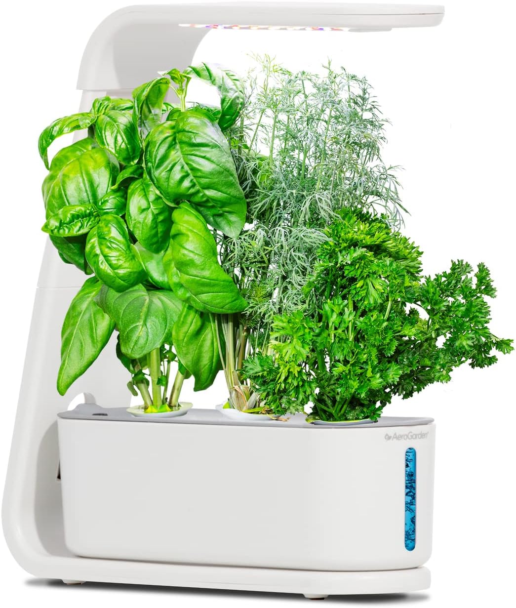 AeroGarden Sprout with Gourmet Herbs Seed Pod Kit - Hydroponic Indoor Garden, White