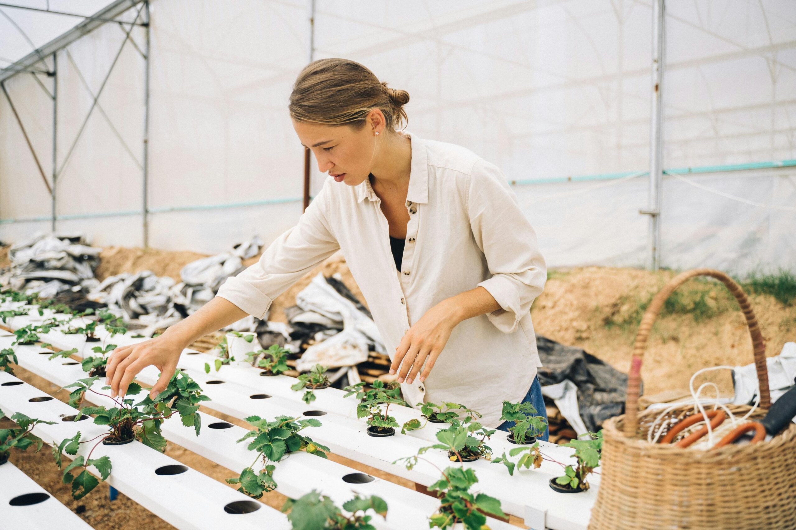 Is Aquaponics Or Hydroponics More Water Efficient?