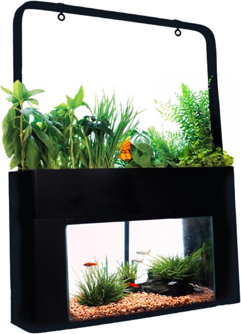 Comparing Self-Sustaining Desktop Aquaponics Ecosystem Kits